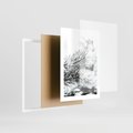 Plakat w ramie 30x40 - Chwila Zimowej Magii - iglasta gałązka, śnieg - rama biała