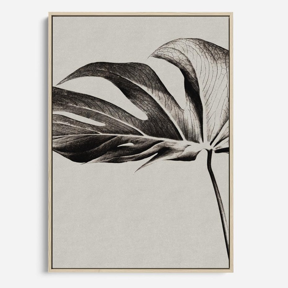 Obraz w ramie 50x70 - Szepczący Liść - szkic, czarno biały - rama drewno