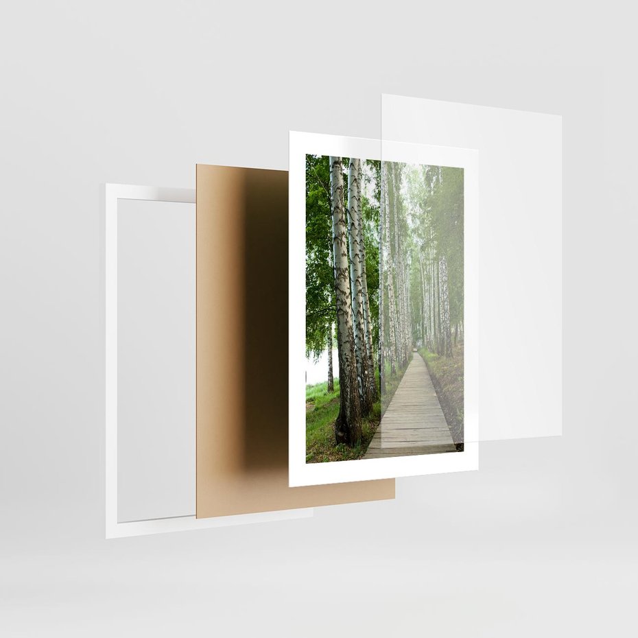 Plakat w ramie 30x40 - Spacer ścieżką przez brzozowy las - las, ścieżka - rama biała