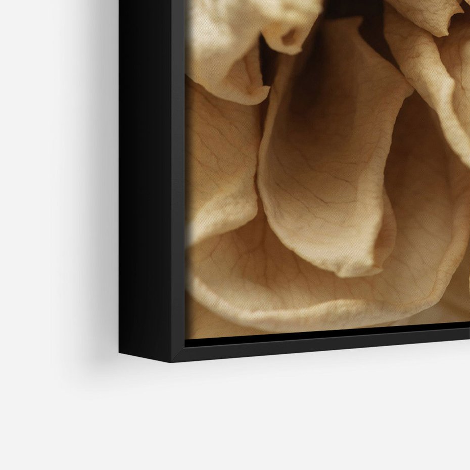 Obraz w ramie 70x100 - Zjawiskowe zasuszone kwiaty - zasuszone, kwiaty - rama czarna