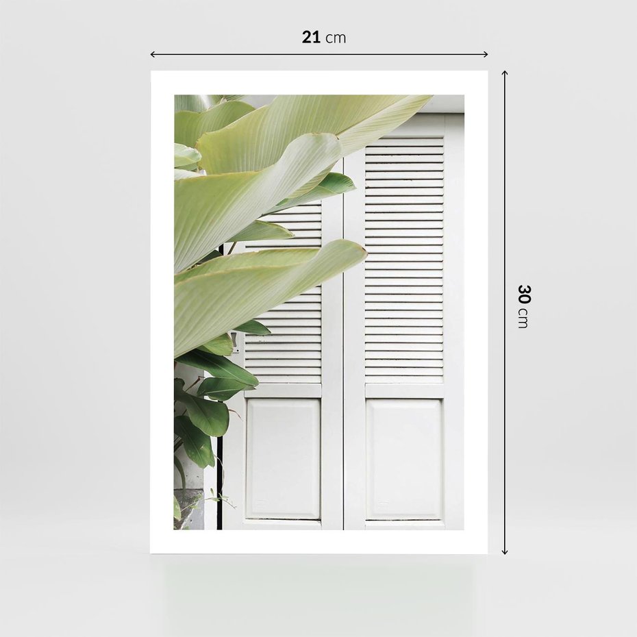 Plakat bez ramy 21x30 - Tropikalne Okno - białe okiennice, zielona tropikalna roślina