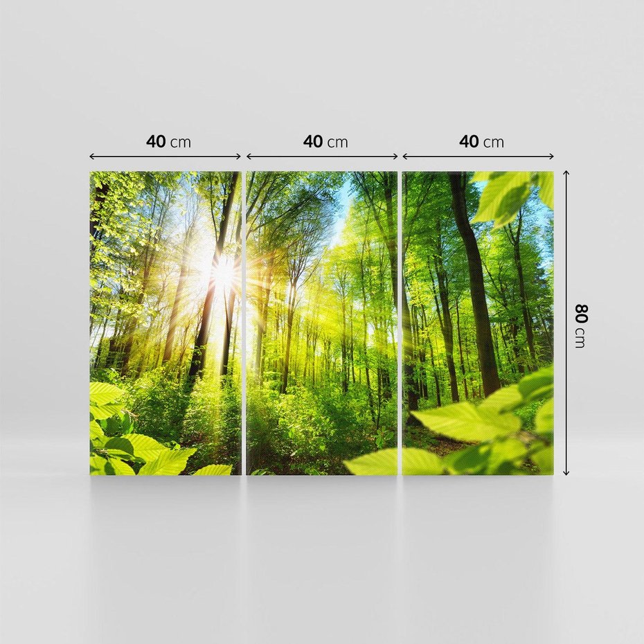 Obraz na płótnie 120x80 - Magia Leśnej Przyrody - las, drzewa