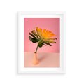 Plakat w ramie 30x40 - Egzotyczna monstera - monstera, liść - rama biała