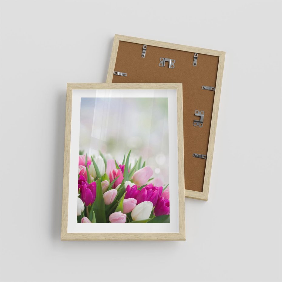 Plakat w ramie 30x40 - Tulipany w pełnym rozkwicie - tulipany, kwiaty - rama drewno