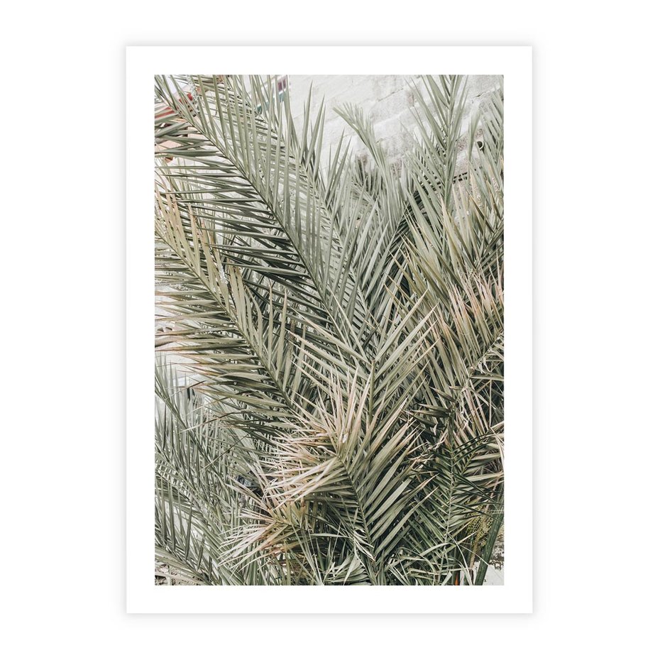 Plakat bez ramy 30x40 - Egzotyczny Świat Palm - palmy, liście palmy