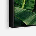 Obraz w ramie 100x70 - Zaklęta roślinna ekspresja - liście bananowca, gęsto ułożone - rama czarna