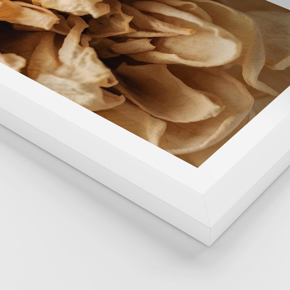 Plakat w ramie 40x50 - Zjawiskowe zasuszone kwiaty - zasuszone, kwiaty - rama biała