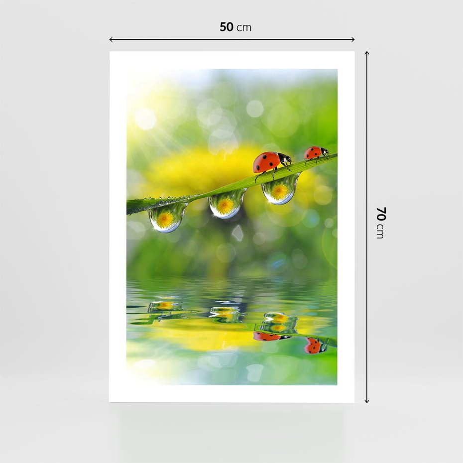 Plakat bez ramy 50x70 - Deszczowa Biedronka - biedronka, deszcz