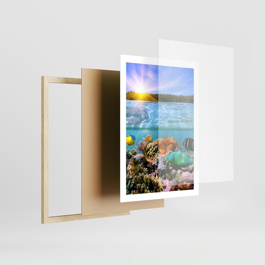 Plakat w ramie 50x70 - Rafa Koralowa - Podwodne Cuda - rafa, koralowa - rama drewno