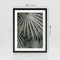 Plakat w ramie 30x40 - Ujęcie Tropikalnej Natury - palmy, liście palmy - rama czarna