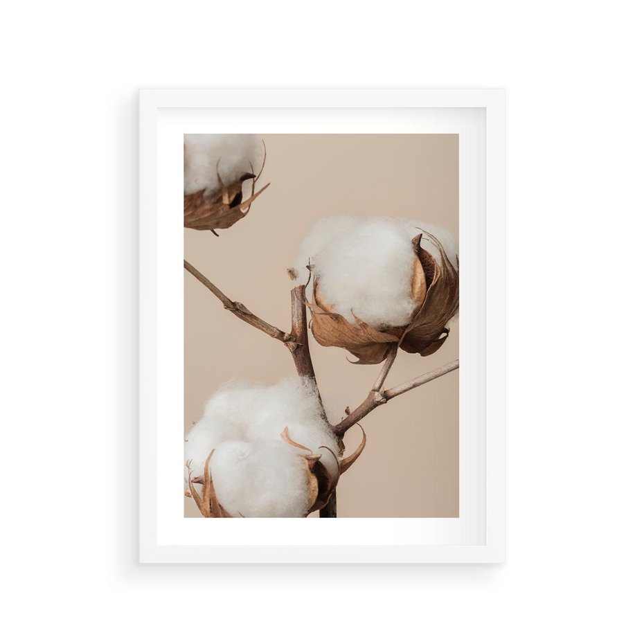 Plakat w ramie 30x40 - Bawełniana melancholia - bawełna, suche - rama biała