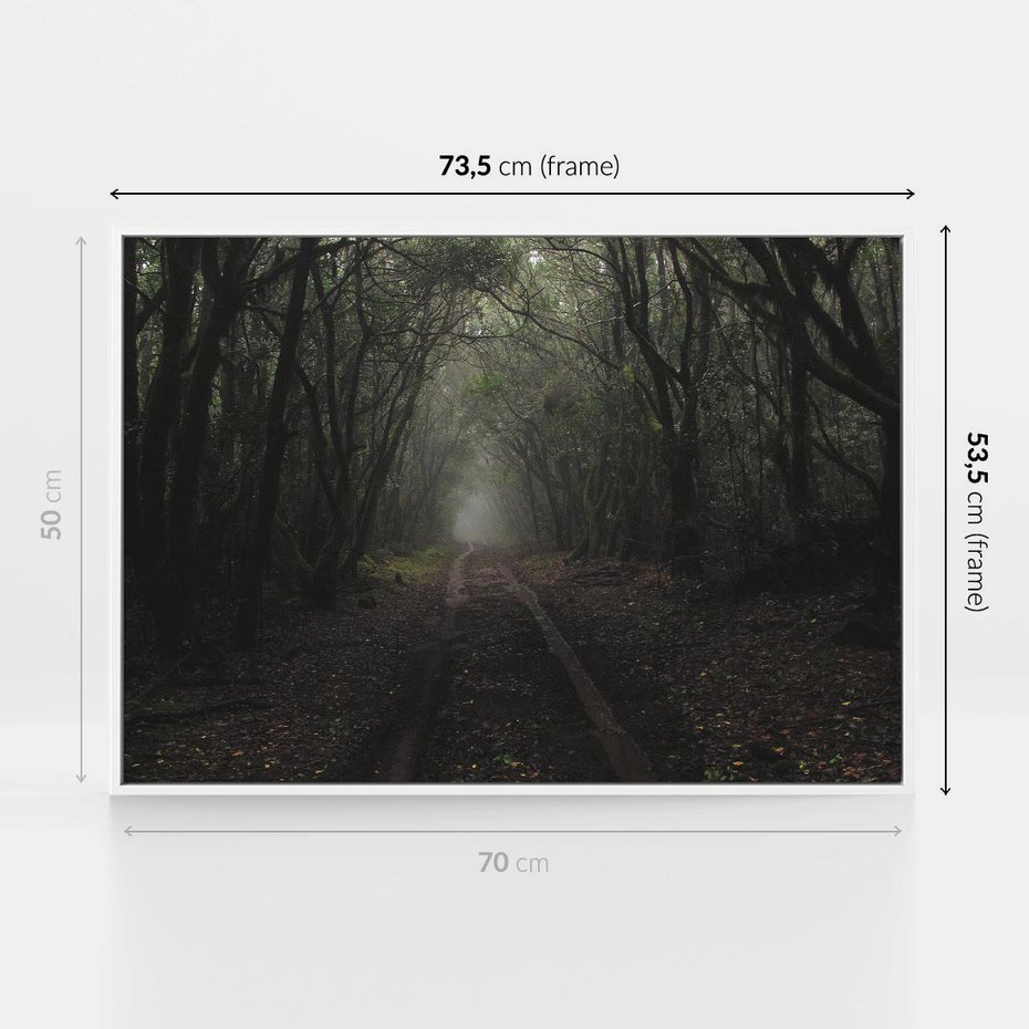 Obraz w ramie 70x50 - Urok Drogi - las, droga - rama biała