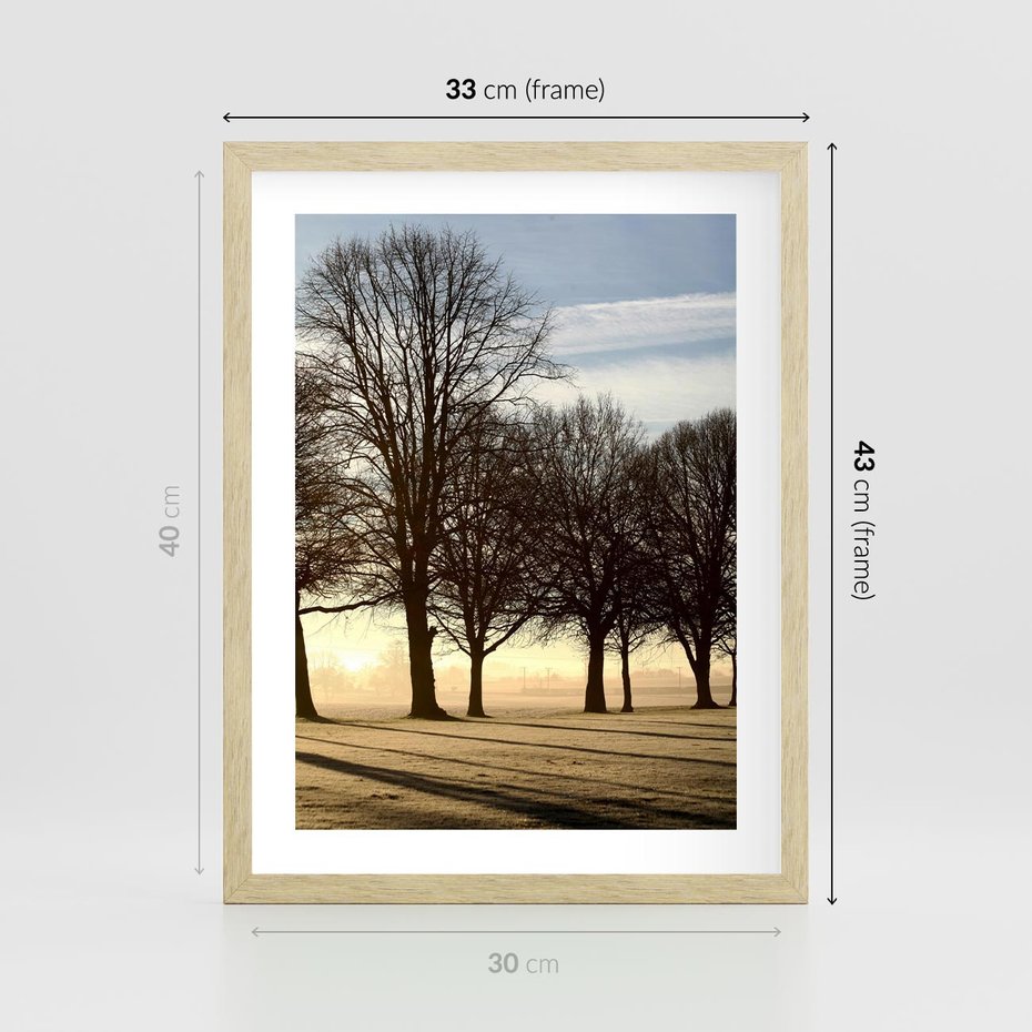 Plakat w ramie 30x40 - Siła natury - drzewa, pole - rama drewno