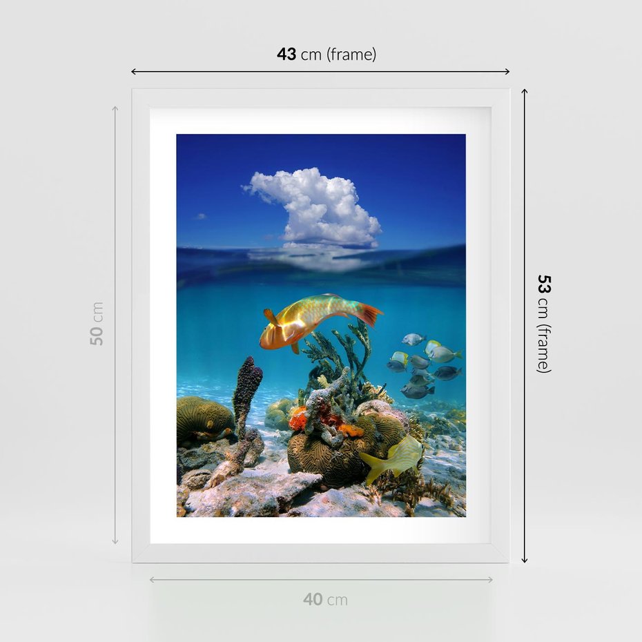 Plakat w ramie 40x50 - Podwodna rafa koralowa: kolorowy oceanowy świat - rafa, koralowa - rama biała