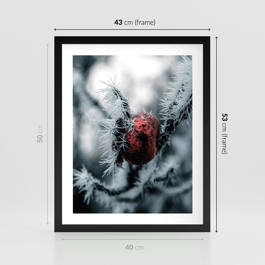 Plakat w ramie 40x50 - Chwila Zimowego Uroku - zima, ośnieżona gałązka - rama czarna