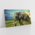 Obraz na płótnie 120x60 - Słoń w sawannie: Spotkanie z dziką przyrodą - słoń, sawanna