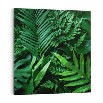 Obraz na płótnie 40x40 - Monstera Liście Fantazja - monstera, liście