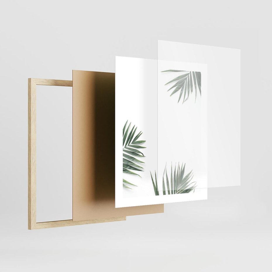Plakat w ramie 40x50 - Liście Palmy na Czystym Tle - liście palmy, białe tło - rama drewno