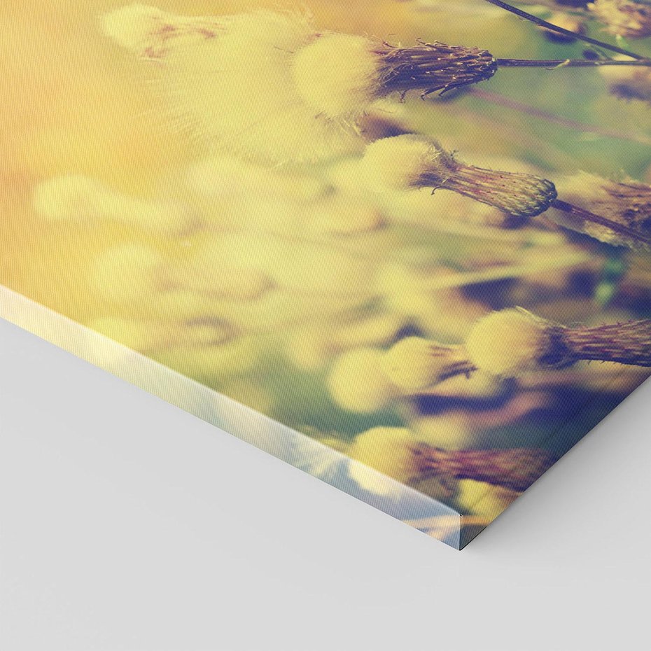 Obraz na płótnie 30x30 - Natura w pełnym rozkwicie - łąka, natura