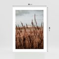 Plakat bez ramy 30x40 - Wysokie Trawy w Górskim Krajobrazie - suche trawy, wysokie trawy