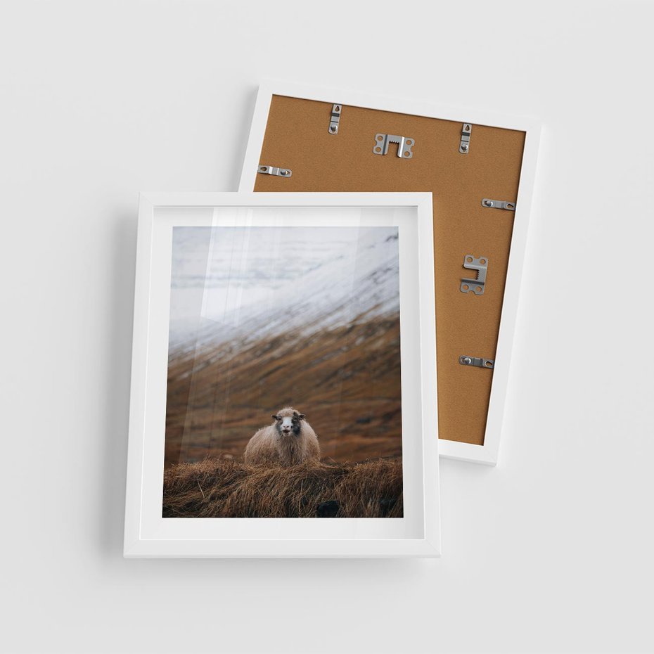 Plakat w ramie 40x50 - Owiecka panorama - góry, owca - rama biała