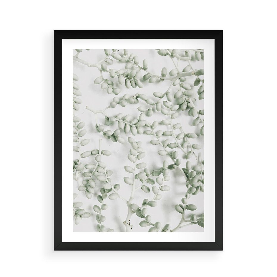Plakat w ramie 50x70 - Delikatność Zieleni - zielone gałązki, listki - rama czarna