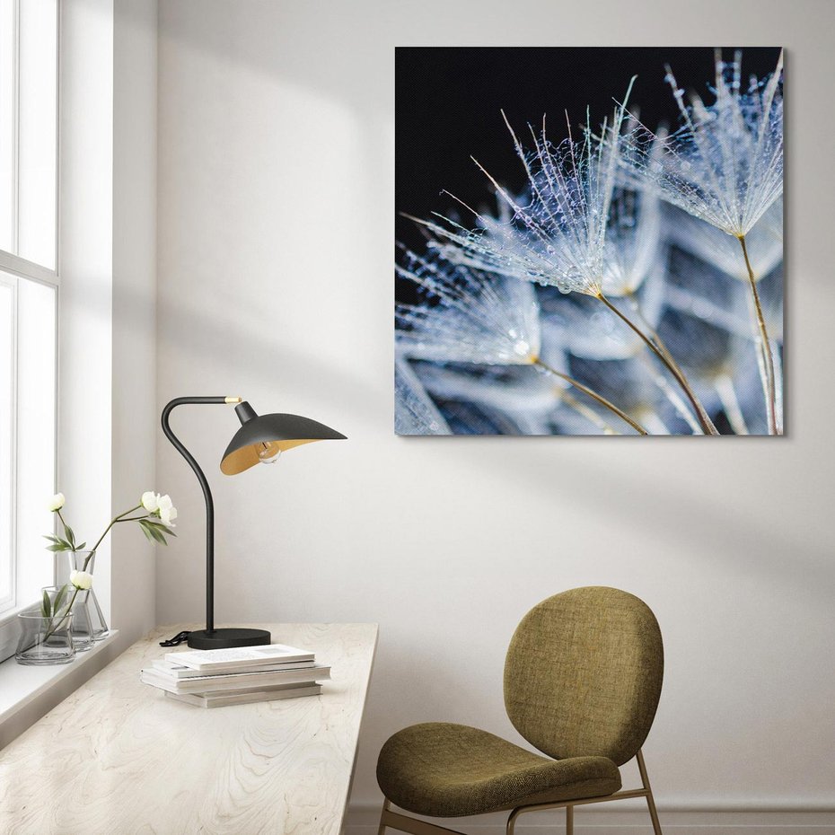 Obraz na płótnie 40x40 - Makro piękno dmuchawców - makro, dmuchawce