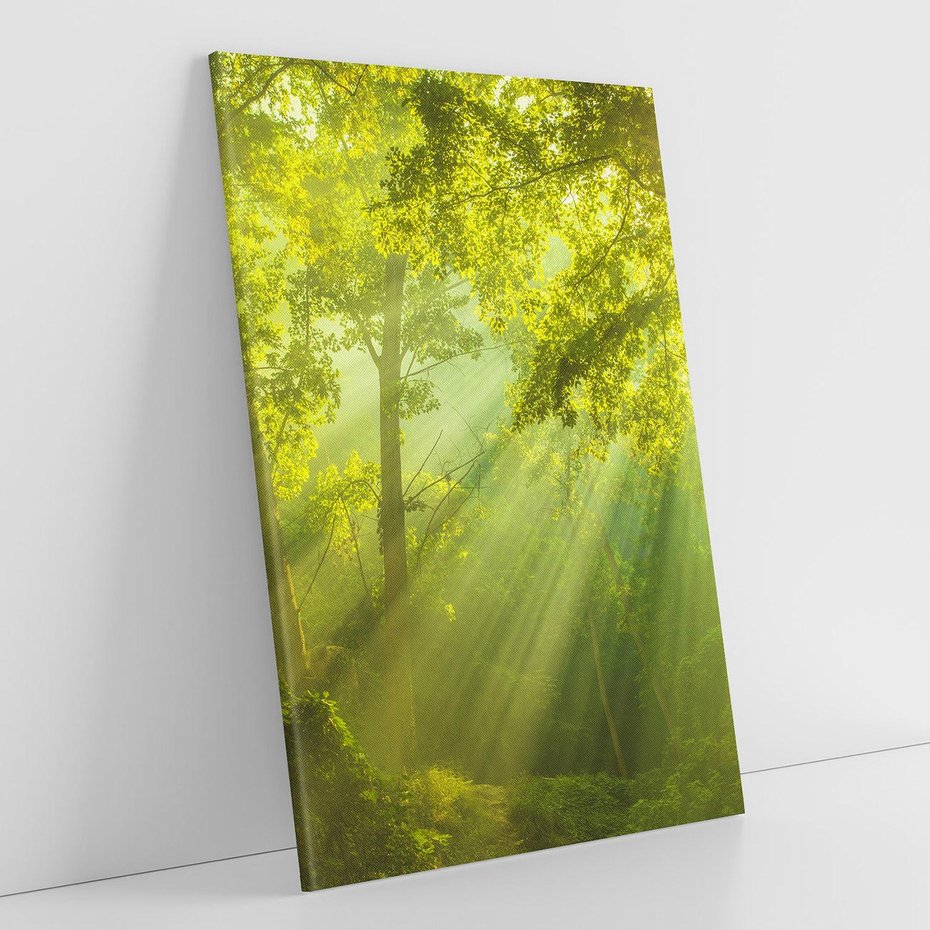 Obraz na płótnie 80x120 - drzewa w harmonii - las, drzewa