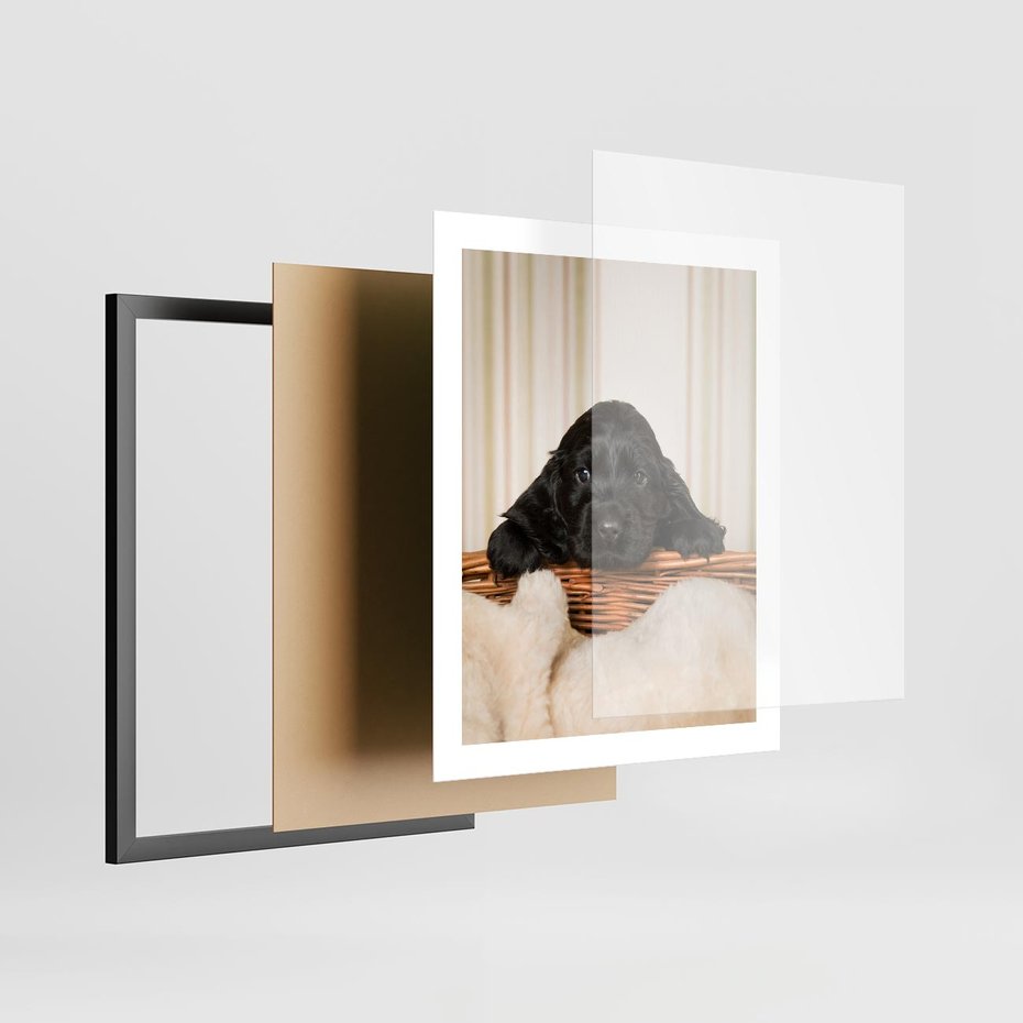 Plakat w ramie 40x50 - Uroczy szczeniak w akcji - piesek, szczeniak - rama czarna