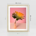 Plakat w ramie 40x50 - Egzotyczna monstera - monstera, liść - rama drewno