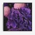 Obraz w ramie 50x50 - Fioletowa hortensja - kwiaty, hortensja - rama czarna