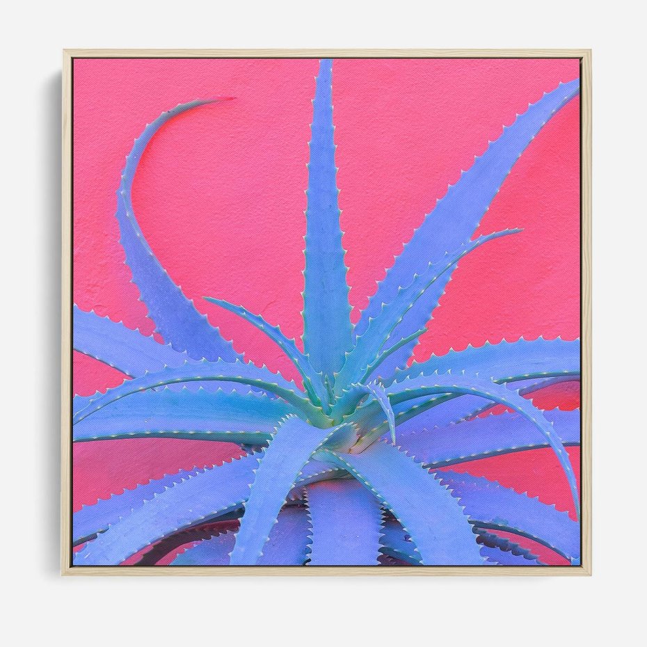 Obraz w ramie 50x50 - Piękno Pustyni - kaktusy, liście - rama drewno