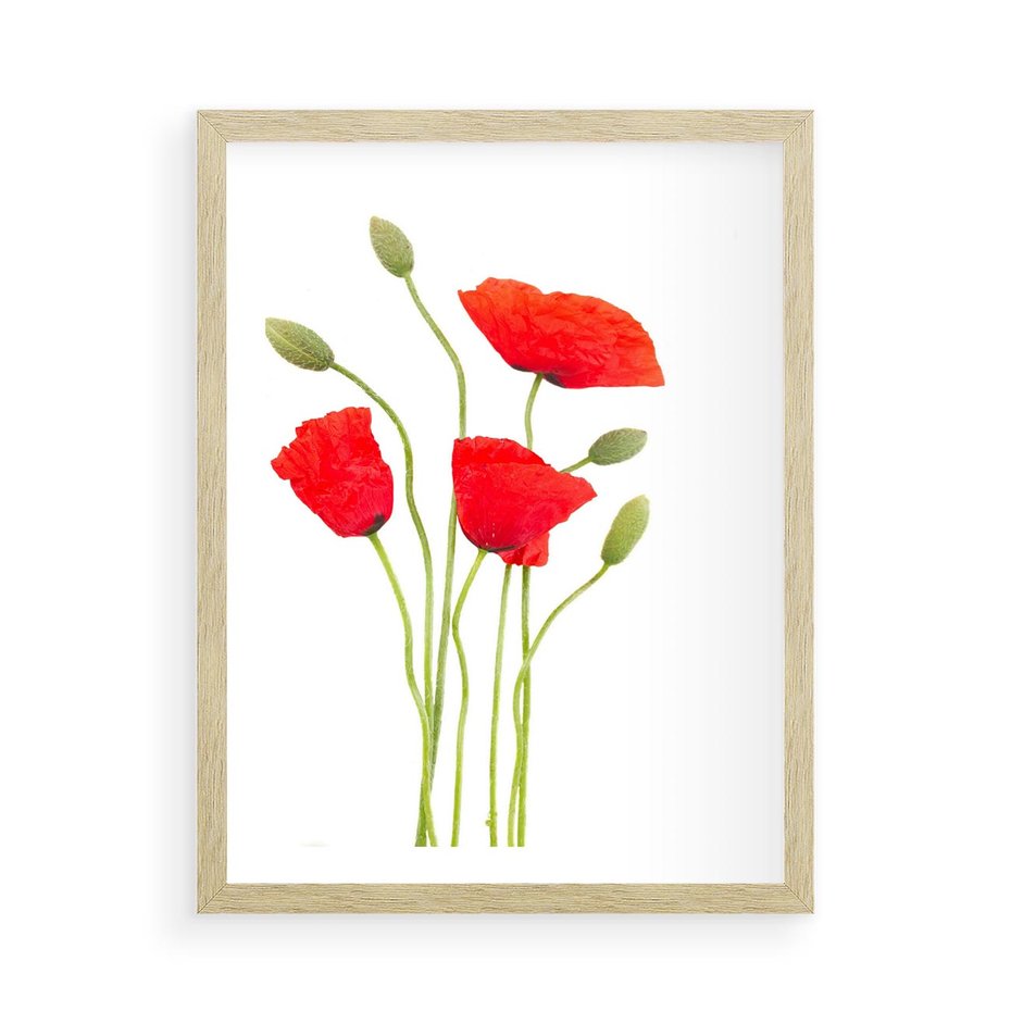 Plakat w ramie 50x70 - Pola maków w pełnym kolorze - maki, kwiaty - rama drewno
