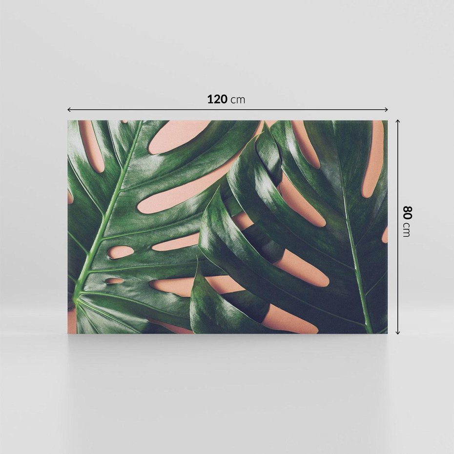 Obraz na płótnie 120x80 - Monstera Liście - monstera, liście