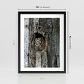 Plakat w ramie 30x40 - Tajemniczy W świecie Nocy - sowa, dziupla - rama czarna