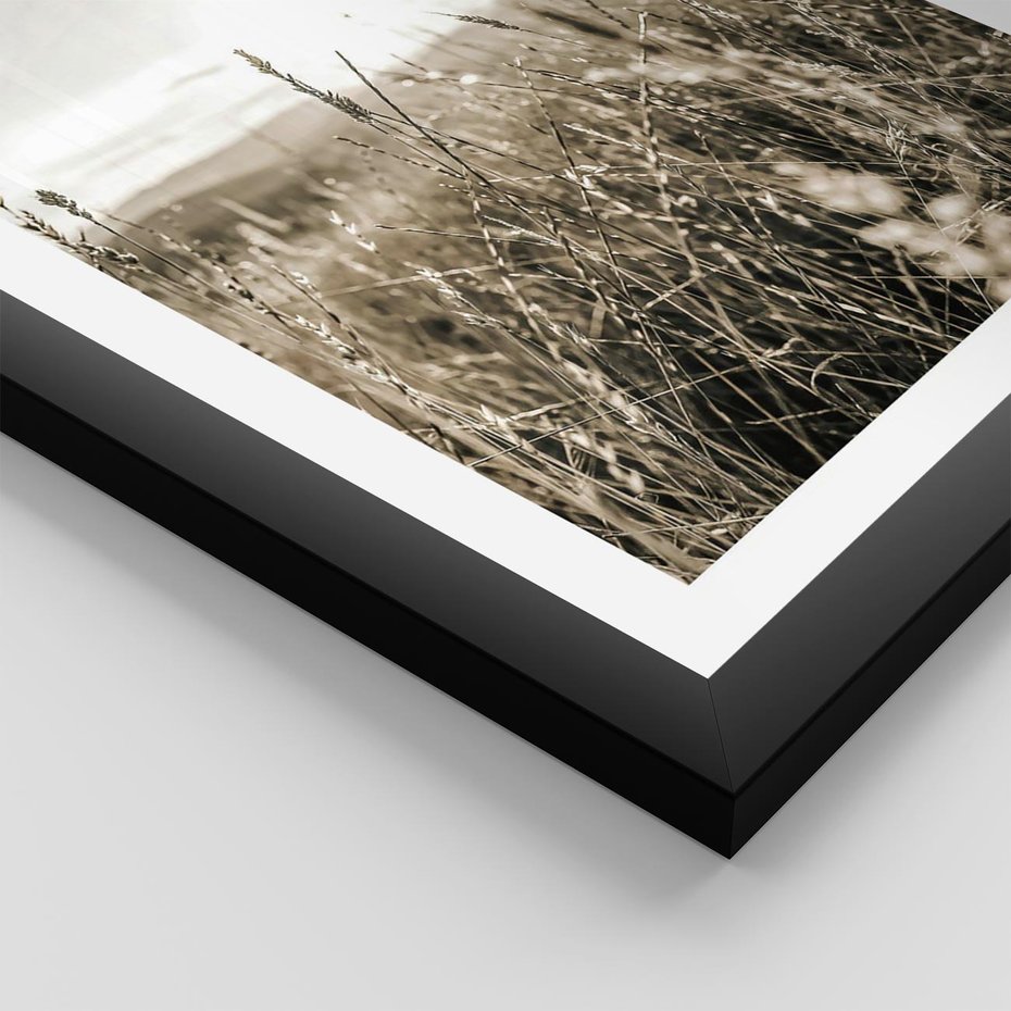 Plakat w ramie 40x50 - Łąka w Klimacie Sepii - suche trawy, łąka - rama czarna
