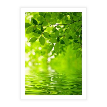 Plakat bez ramy 40x50 - Liście w Wodzie - liście, woda