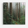 Obraz w ramie 80x80 - Mgliste Marzenia - artystyczna fotografia, las - rama biała