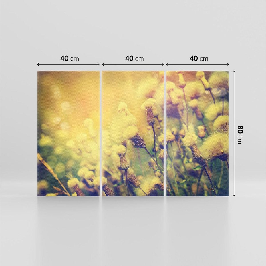 Obraz na płótnie 120x80 - Natura w pełnym rozkwicie - łąka, natura