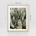 Plakat w ramie 40x50 - Kaktusowa Harmonia - kaktusy, fotografia - rama drewno