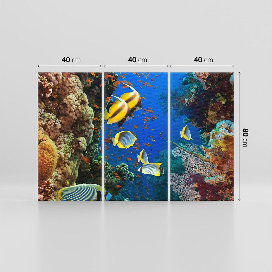 Obraz na płótnie 120x80 - Podwodne królestwo rafy koralowej - rafa, koralowa