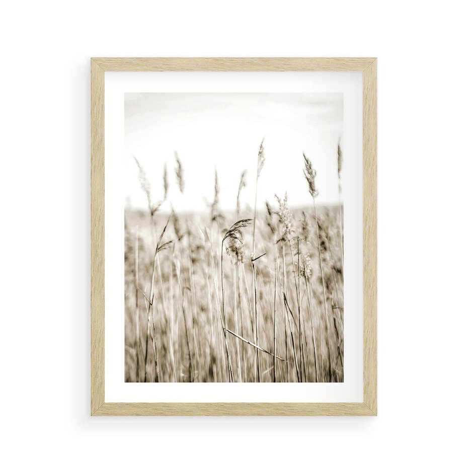 Plakat w ramie 40x50 - Nostalgiczny Pejzaż - suche trawy, pole - rama drewno