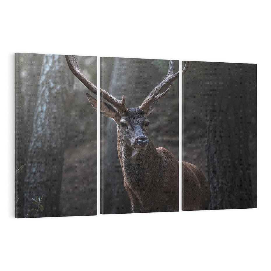 Obraz na płótnie 120x80 - Jeleń wśród lasu - jeleń, las