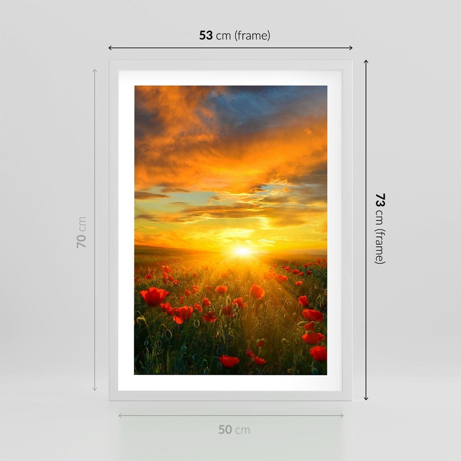 Plakat w ramie 50x70 - Magia zachodu słońca na łące z makami - łąka, zachód słońca - rama biała