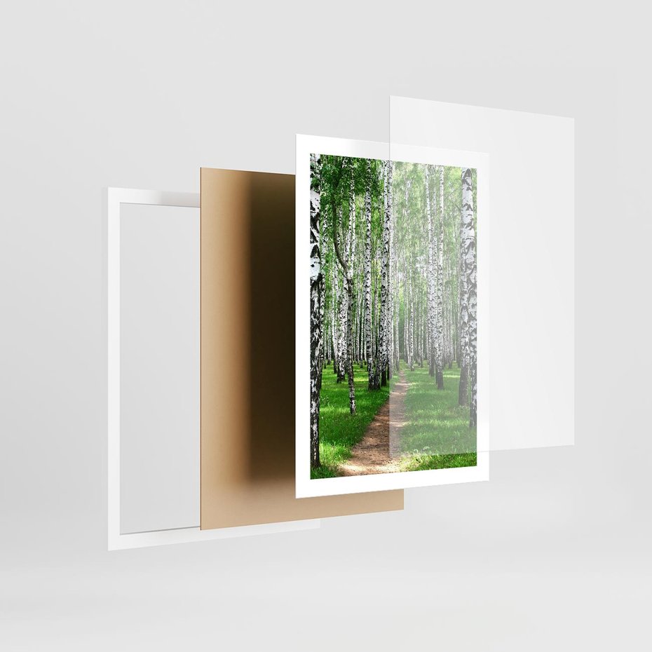 Plakat w ramie 50x70 - Bajkowy las pełen brzóz - las, brzozy - rama biała