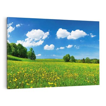 Obraz na płótnie 100x70 - Polana wśród drzew: Spokój i harmonia - polana, łąka