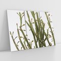Obraz na płótnie 120x80 - Ekskluzywna Roślinność - kaktusy, liście