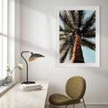 Plakat w ramie 50x70 - Rajskie Inspiracje: Palma na Niebie - palma, na tle nieba - rama biała