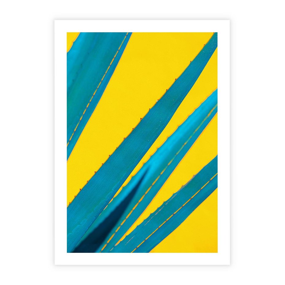 Plakat bez ramy 30x40 - Świeżość Natury - aloes, liście
