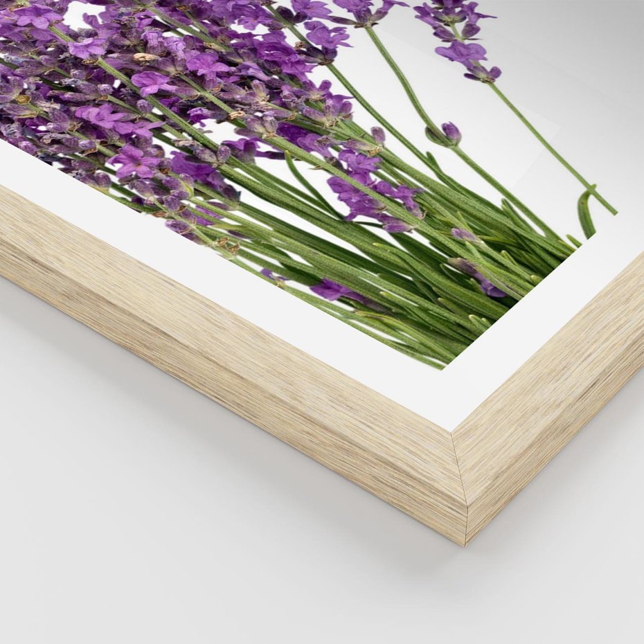 Plakat w ramie 30x40 - Pola lawendy w pełnym rozkwicie - lawenda, kwiaty - rama drewno